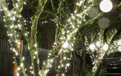 Let Us Do Your Christmas Light Installation This Year!