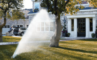 Are You Ready? Watering Restrictions in Metro Vancouver Start June 1