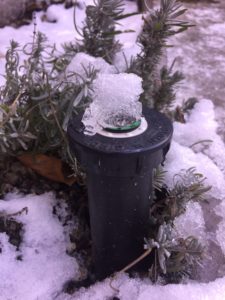 Frozen Sprinkler Head Winterize Irrigation
