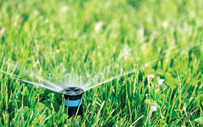 Waterwise Summer Lawn Care