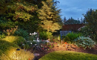 Sticking Around This Summer? Enjoy Your Back Yard Even More With Outdoor Lighting!