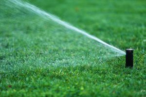 Residential Irrigation