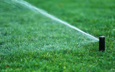 Lawn Sprinkling Restrictions Begin May 1