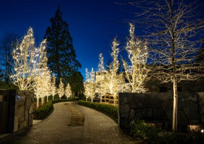 Christmas Light installation