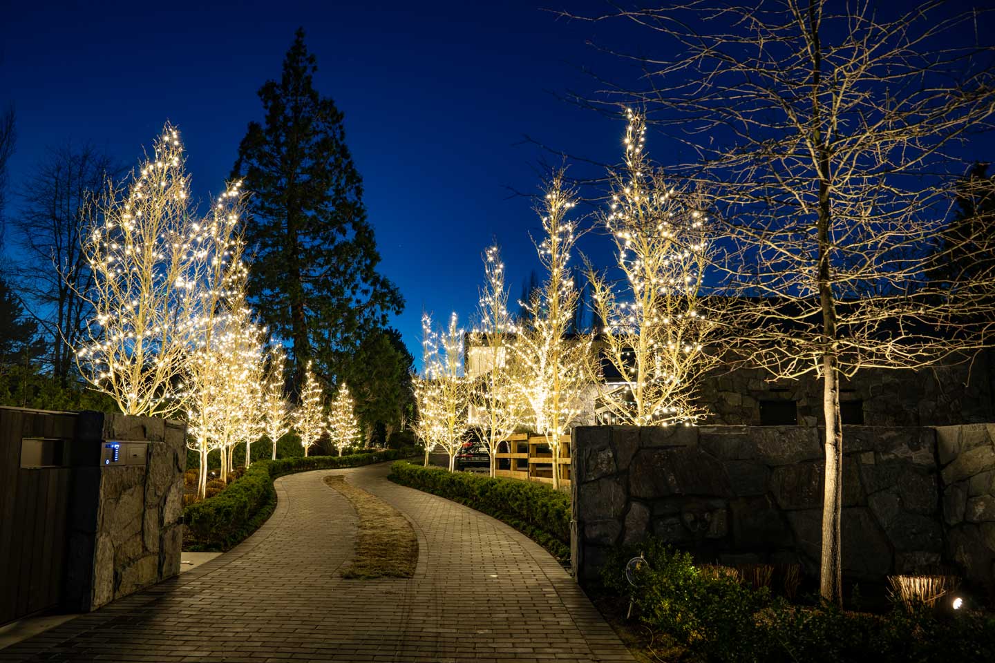 Christmas Light installation